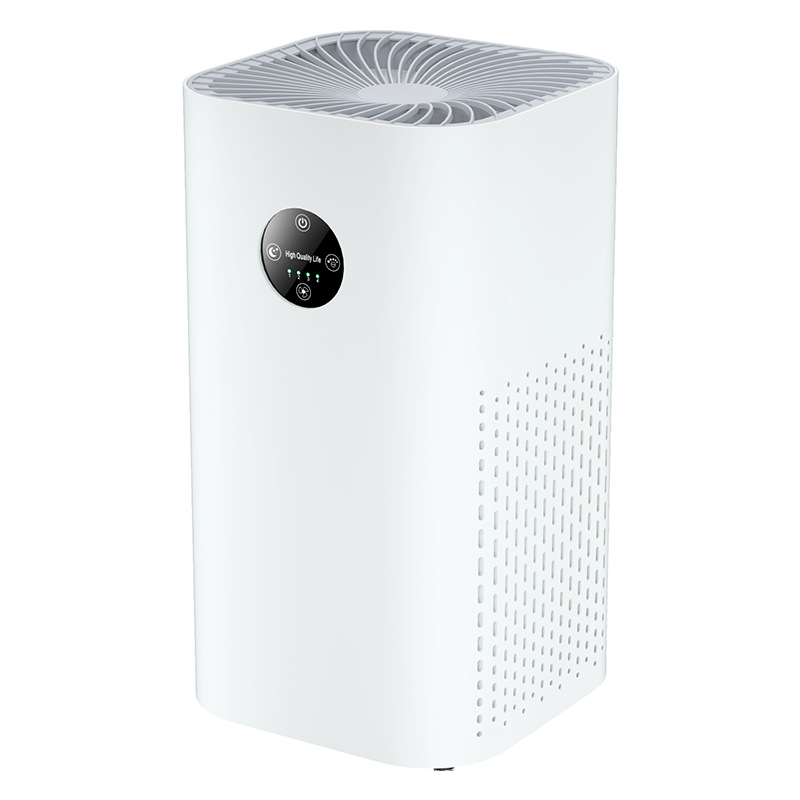 OEM Hotel Air Purification System
