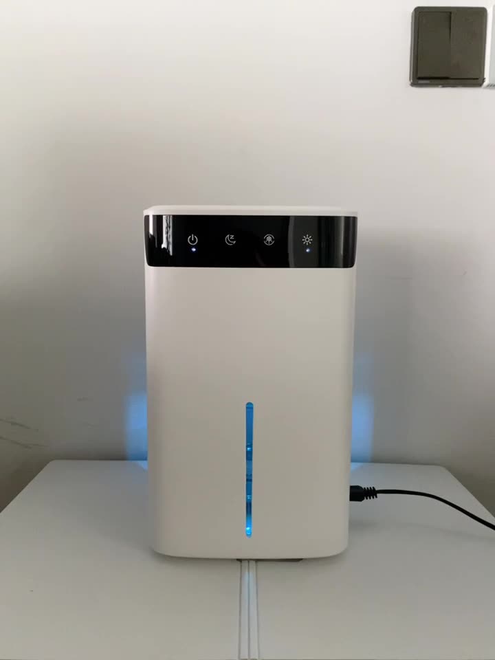 OEM Anti-Mold & Anti-Moisture Dehumidifier